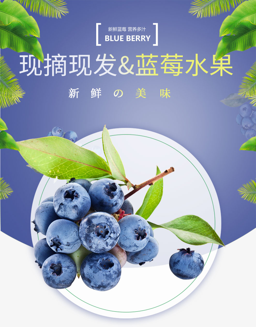 蓝莓_01.jpg