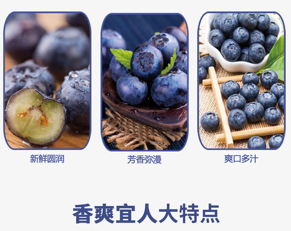 蓝莓_04.jpg