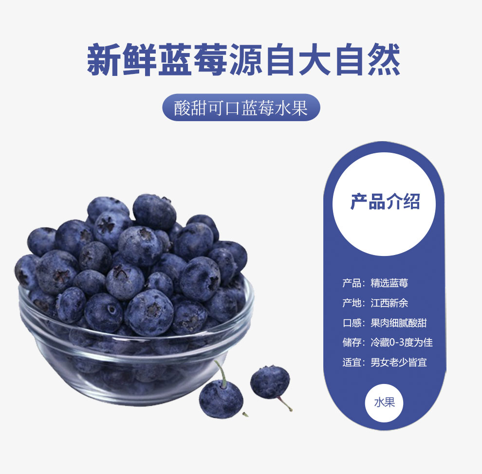 蓝莓_02.jpg