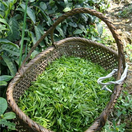 黄山毛峰 雨前绿茶 安徽黄山产区 绿茶 送人自饮俱佳