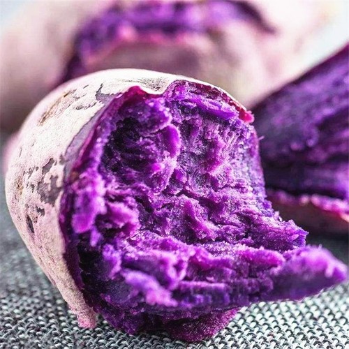 紫薯 山东沂蒙山区出产 3/5/9斤